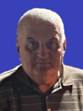 VESELIN Bogdana BOŠKOVIĆ