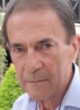 VESELIN BRAJKOVIĆ